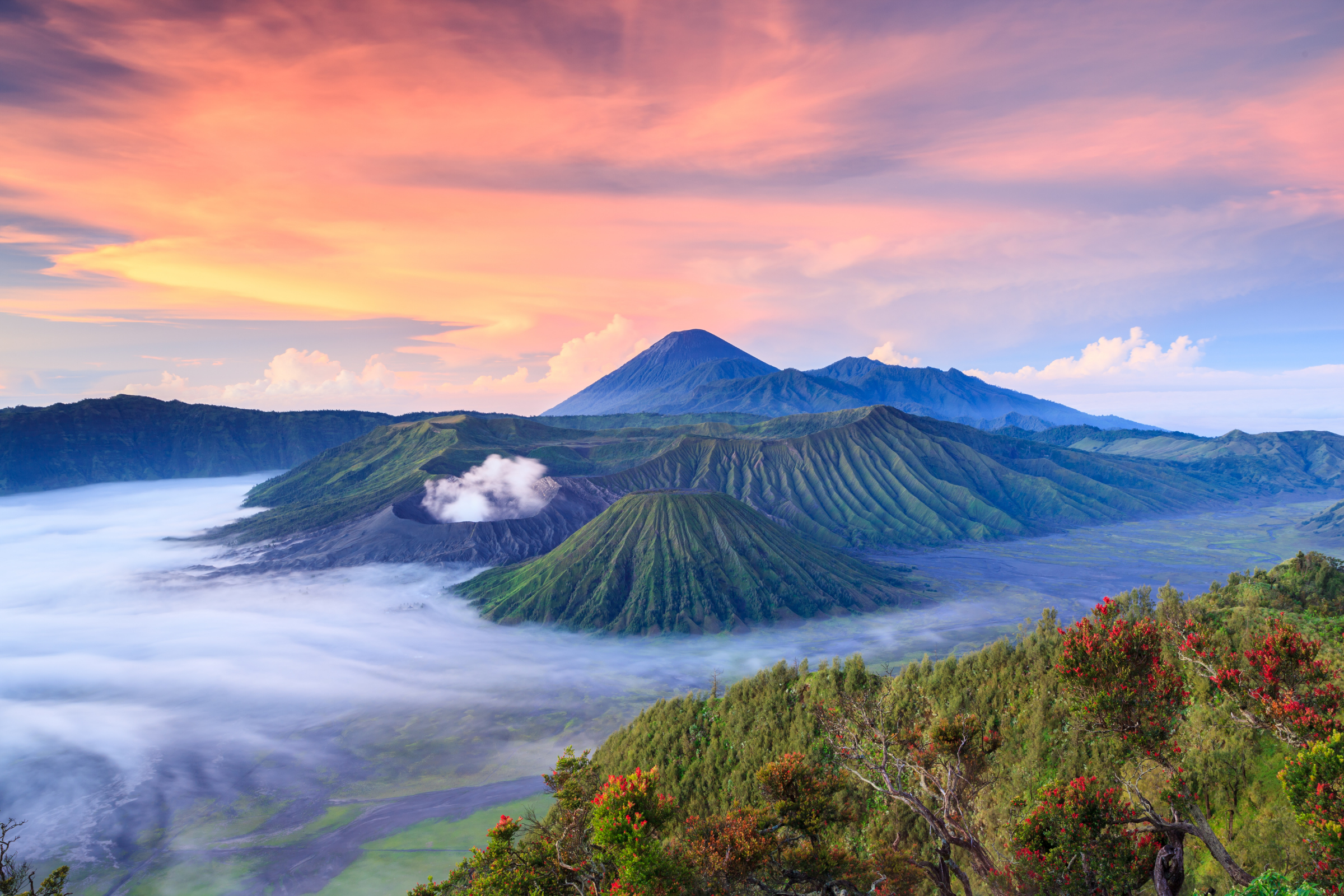 mt bromo, east java.webp